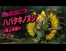 【スプラレイダース】ウテリョイ島（フィモリア祈祷堂、ハバタキノヌシ）