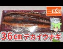 【2026土用の丑の日】ビッグで買った1270円の「36cmデカイうなぎ蒲焼き（中国産）」