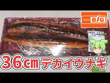 【2026土用の丑の日】ビッグで買った1270円の「36cmデカイうなぎ蒲焼き（中国産）」