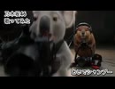 乃木坂46　おいでシャンプー　歌ってみた カラオケLive 本人ズ