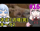 リヴィアの茜　ウィッチャーや#16【Witcher3】