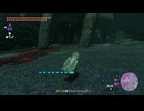 【ティアキン】ゲルド闇化石のファントムガノン　ゼルダの伝説ティアーズオブザキングダムNintendo Switch 2 Edition