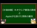 【ゆっくり解説】なぜキオクシアは売られたのか？半値暴落から大逆転⁉「日米連合の全貌」【半導体闇】