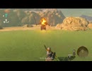 【ティアキン】ラブラー丘のライネル　ゼルダの伝説ティアーズ オブ ザ キングダムNintendo Switch 2 Edition