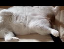 ごきげんくん