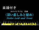 【楽譜動画】エルメンライヒの「深い悲しみと慰め」を弾いてみた【ピアノ】