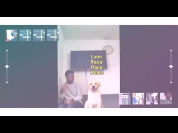 ヒューマンVSカッティングパイド