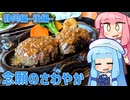 【VOICEROID旅行】琴葉姉妹の気ままなキャンピングカー旅 静岡編ー後編ー