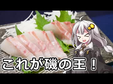 釣れなくても料理！イシダイのお造り！【VOICEROIDキッチン】