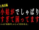 【2chヒトコワ】小姑がでしゃばりすぎて困ってます。。【人怖】