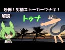 【VOICEVOX怪異解説】トゥナ【四国めたん】
