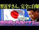 習近平「日本のホタテ買うな！」→結果、売上が爆増してしまうw【海外の反応・ゆっくり解説】