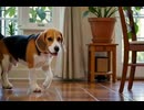 beagle