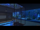 【VRChatワールド紹介】でけぇ水槽がある部屋