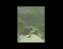 【リョナ】ブレワイ スク水リンクルが凍える