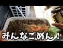 ミシシッピアカミミガメを肥料にしてニンジン育てたらヤバすぎた！収穫がとんでもないことに…！？