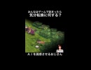 【ChatGPT LIVE】癖が強過ぎてAIを困惑させてしまうおじさん