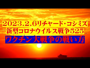 【2023年02月06日 ：『 リチャード・コシミズ「 Internet Lecture 」｟ 新型コロナウイルス戦争 ５２５ ｠｟ RK LIVE ｠｟ 改良版 ｠』】