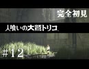 【初見プレイ】目が覚めたら大きなワシがいた Part.12【人喰いの大鷲トリコ/ネタバレ注意】
