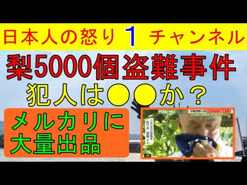 【梨5000個盗難の犯人は誰なのか】ベトナム人の農作物メルカリ出品があまりにもタイミングよくあまりにもタイミングが合致しすぎ #ベトナム #移民 #盗難 #日本人