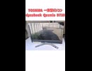 いらないもの、ゆずります No.24 【ジャンク】TOSHIBA 一体型パソコン dynabook Qosmio D710