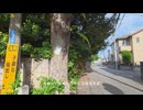 【散歩】千葉県柏市増尾を歩く【鰭ヶ崎三本松古墳発増尾行き編 part8②】