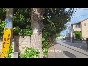 【散歩】千葉県柏市増尾を歩く【鰭ヶ崎三本松古墳発増尾行き編 part8②】
