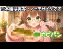 カビちゃったパン　～人類を救う一手となるか～