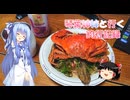 琴葉姉妹と行く釣行記録（暇潰し編part80）