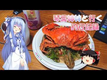 琴葉姉妹と行く釣行記録（暇潰し編part80）