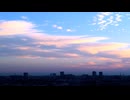 call　feat. GUMI