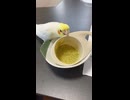 ちゃぶ台返しならぬ、さし餌容器返し…