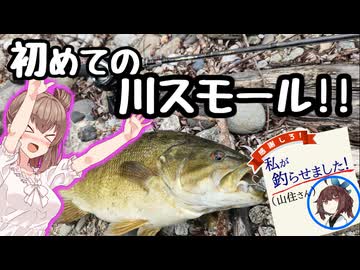 清流スモールマウスバスに初挑戦したら大先輩のおかげで大勝利した。【VOICEROIDフィッシング】【バスアングラーささらちゃん！】