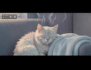 【作業用BGM】Ajakoの音絵箱〜おはようございます〜木曜日もまったりスタート〜♬