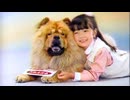 夏場にやっていたＣＭ⑤