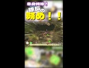 【無犠牲ピクミン1】無犠牲縛りあるある、隊長パンチで頑張るやつ【切り抜き】