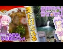 【結月ゆかりのサケびたり】ゆかりさん、滝に打たれる。「二ノ丸温泉」&amp;和歌山グルメ【VOICEROID旅行】