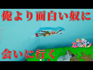 この世界には面白いカメレオンが山ほどいるな【めっちゃカメレオン】