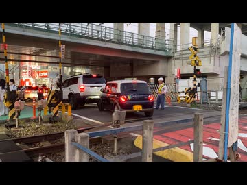 ホモと見る前進しかできない初心者