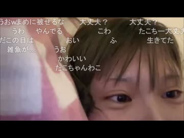 tako　(2026/7/24) どうしてこんなに弱いんだ