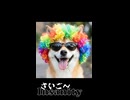 さいご～Insanity(shorts)