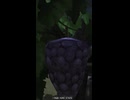 【FF14】ローポリブドウは今