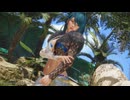 テコンダーリグ33章 DOA6LR