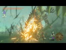 【ティアキン】カーマス台地のライネル　ゼルダの伝説ティアーズオブ ザキングダムNintendo Switch 2 Edition