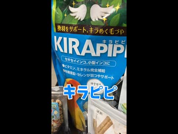 【閲覧注意】愛鳥の選別厳しすぎワロタwwwおやつ拒否の闇が深すぎる件。