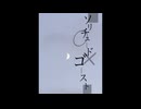 ソリチュードゴースト / 知声