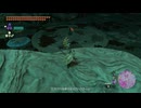 【ティアキン】ゴニタヨリソの根付近のブロックゴーレム　ゼルダの伝説ティアーズ オブ ザ キングダムNintendo Switch 2 Edition