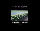 【バルカンS】埼玉の有名なアジサイロード　ここはどこでしょう？　