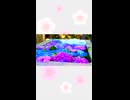 【音街ウナ＆歌愛ユキ＆初音ミク＆GUMI＆flower】みやび【ショート】