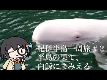 【ボイロ車載】半島の果て、白鯨にまみえる【紀伊半島ツーリング#2】